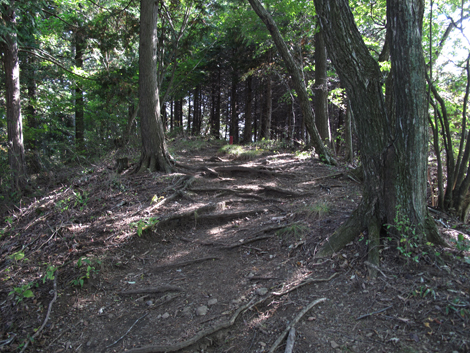 20151014hike (256)